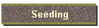 Seeding