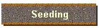 Seeding